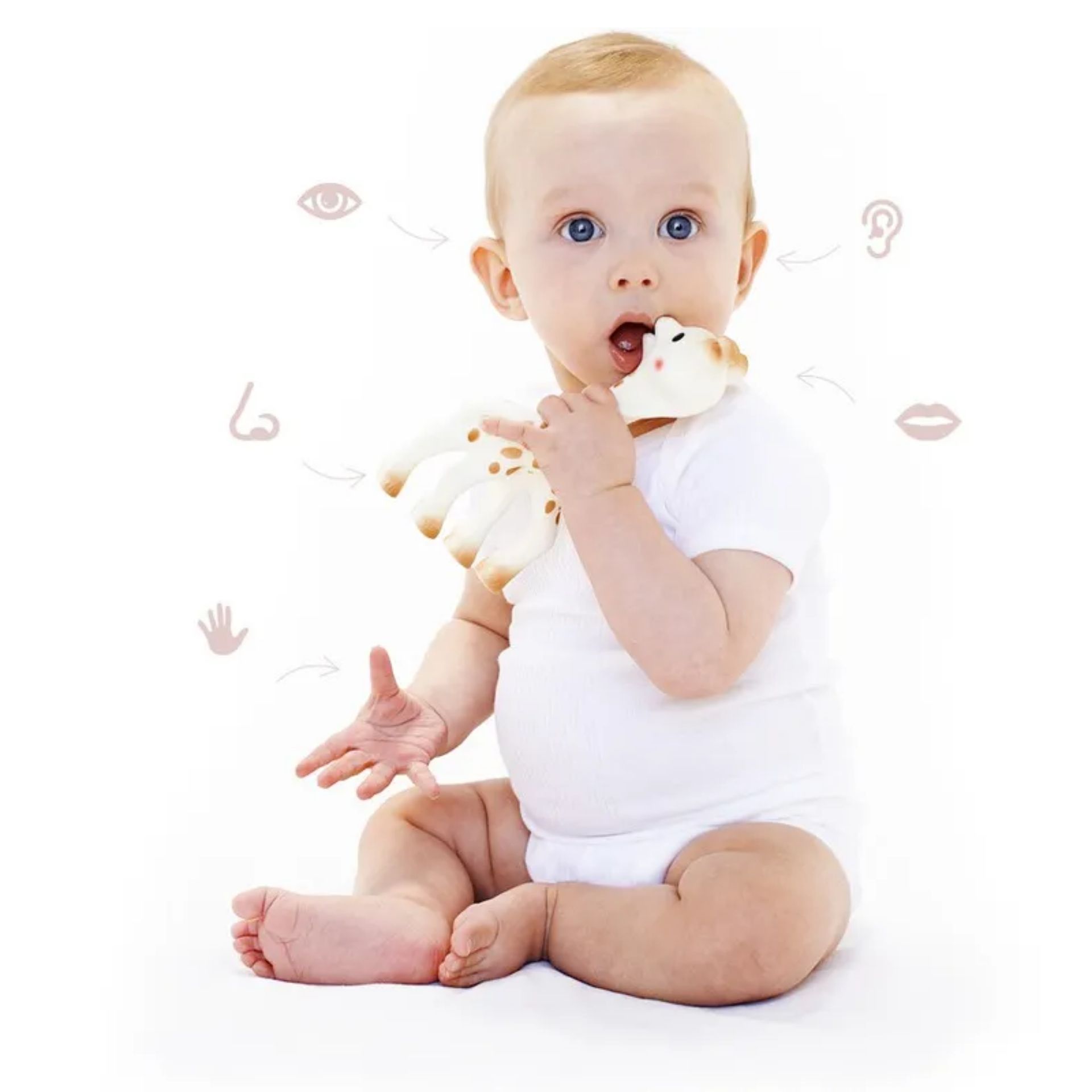 Sophie La Girafe – Caixa para Oferta 100% Hevea