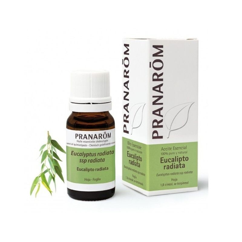 Pranarom Óleo Essencial Eucalipto Radiata Bio 10ml