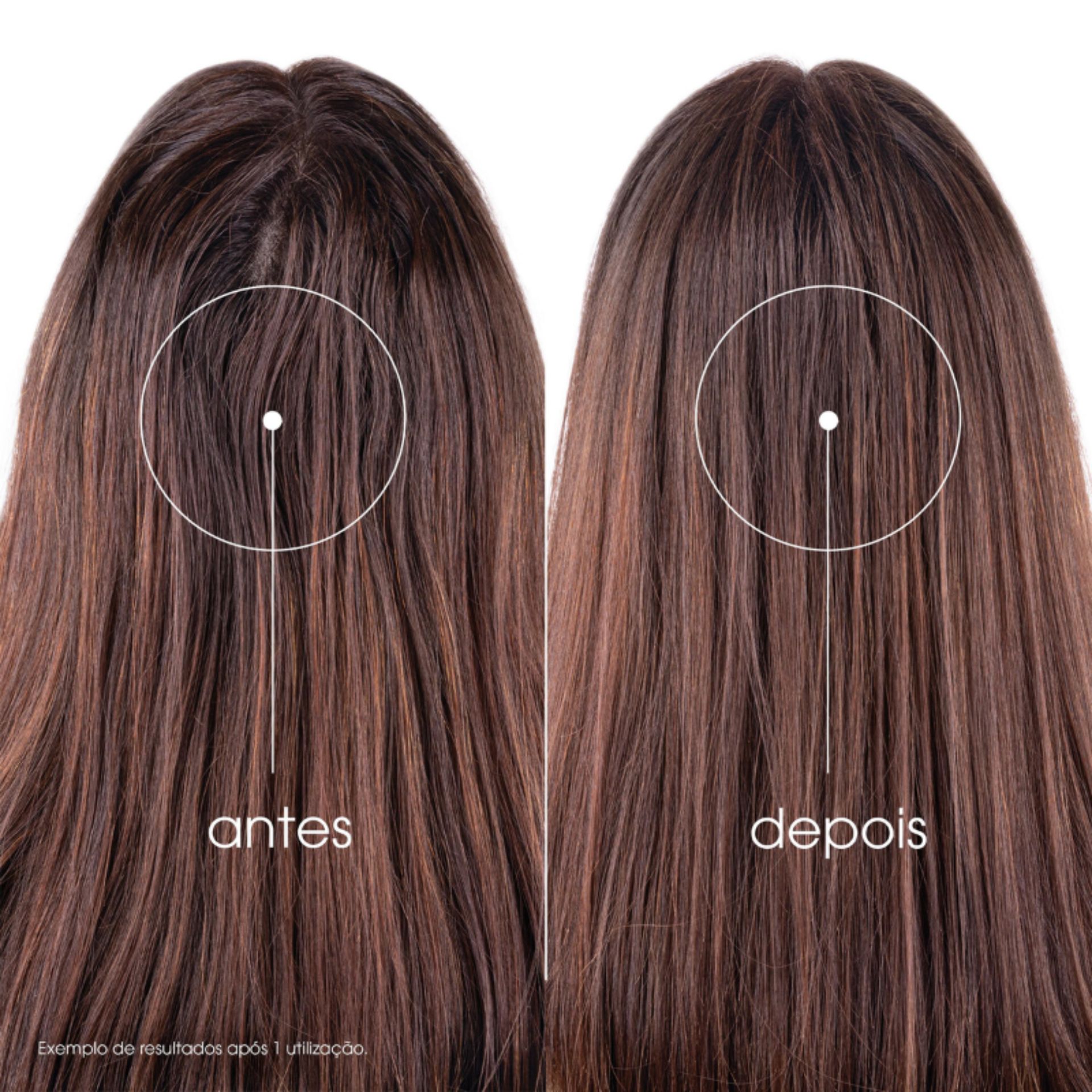 Klorane Champô Seco Ortiga e Vitamina E com Cor 50ml