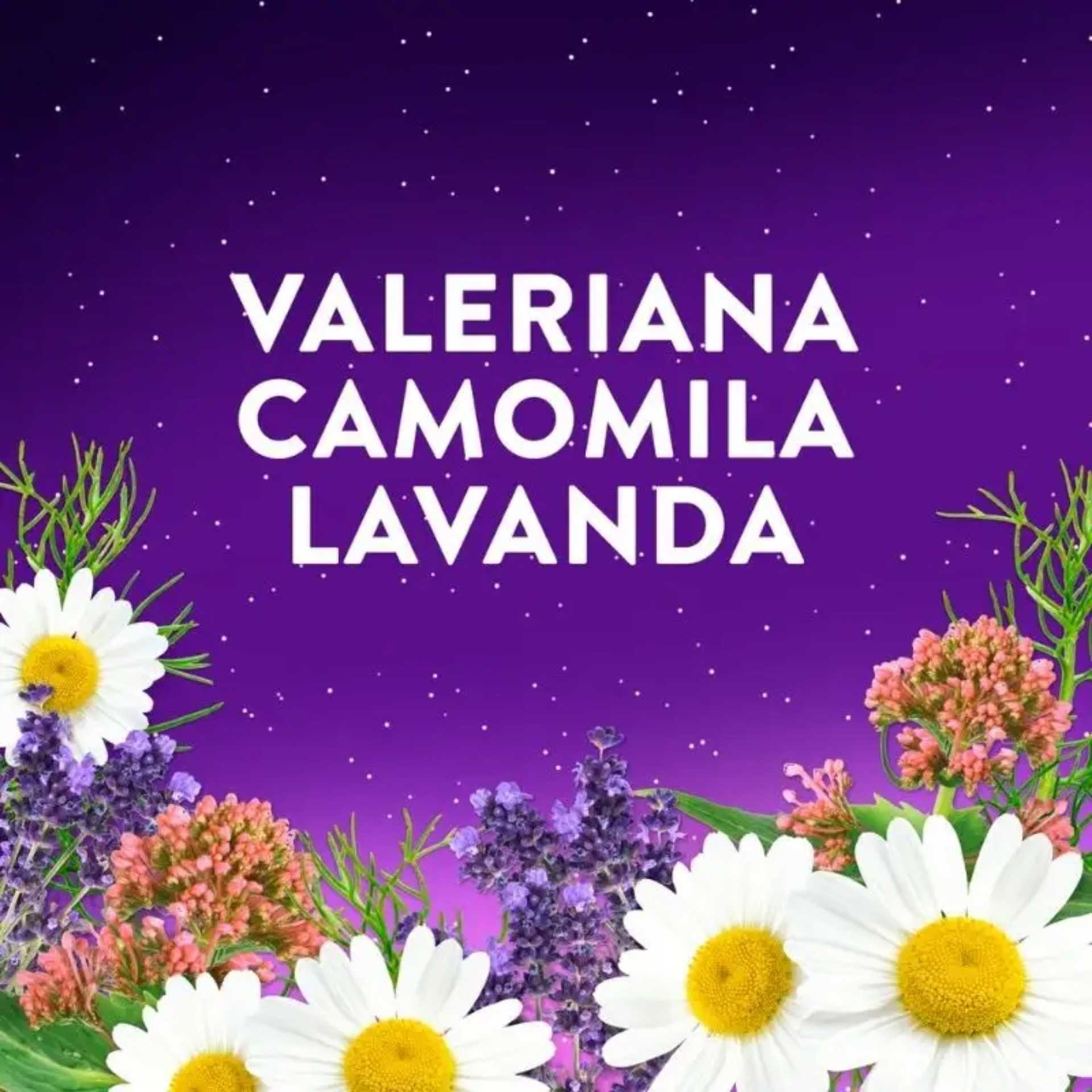 ZzzQuil Sono Gomas Frutos do Bosque 60 unidades